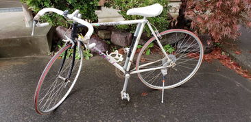 日本盧德摩托車代購與二手市場指南 價格、渠道與購買注意事項